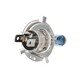 COOL  INT. OSRAM CBI H4 12V 60/55W P43T BLISTER